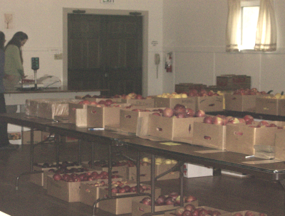 Dozens of apples waiting for homes