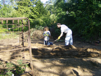 9 mounds for 9 squash and pumpkin