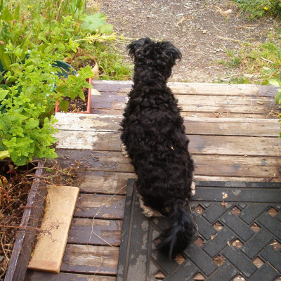 Buffy surveys her domain...