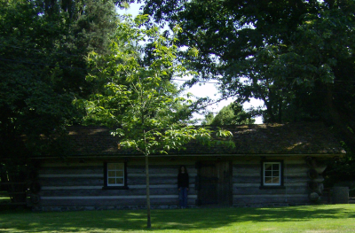 the front of the chicken coop, 5 foot 8 inch kid for scale