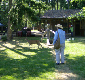 This doe walked within FEET of Mother!