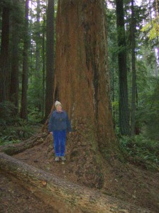 Old growth tree and youthful Betty