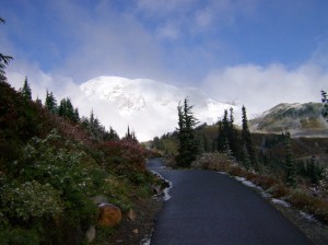 the mountain in the mist