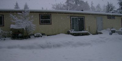 the back of the house, with snow still falling