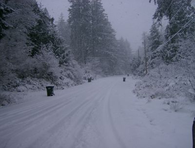 quiet street in the snow