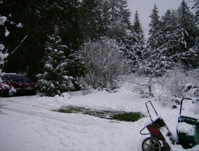 car is moved and with chains, not getting stuck this time!