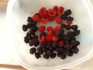thimbleberries and native blackberries