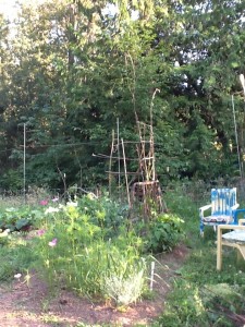 bean trellises with side view of chairs with cushions