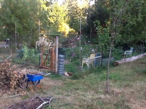 garden entry corner, with a blue wheelbarrow in front and the remainder of the roll of fencing waiting to be removed