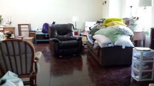 ... and almost all of it fit in just the living room...  except the beds.  And the desks...