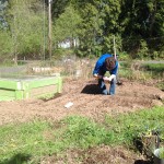 Grant plants carrots