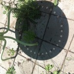 Pattern of flower-shaped dots on the square pavers under the patio bistro table.
