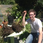 Grant, helping me separate a few of the plants so they can go back in the pond.