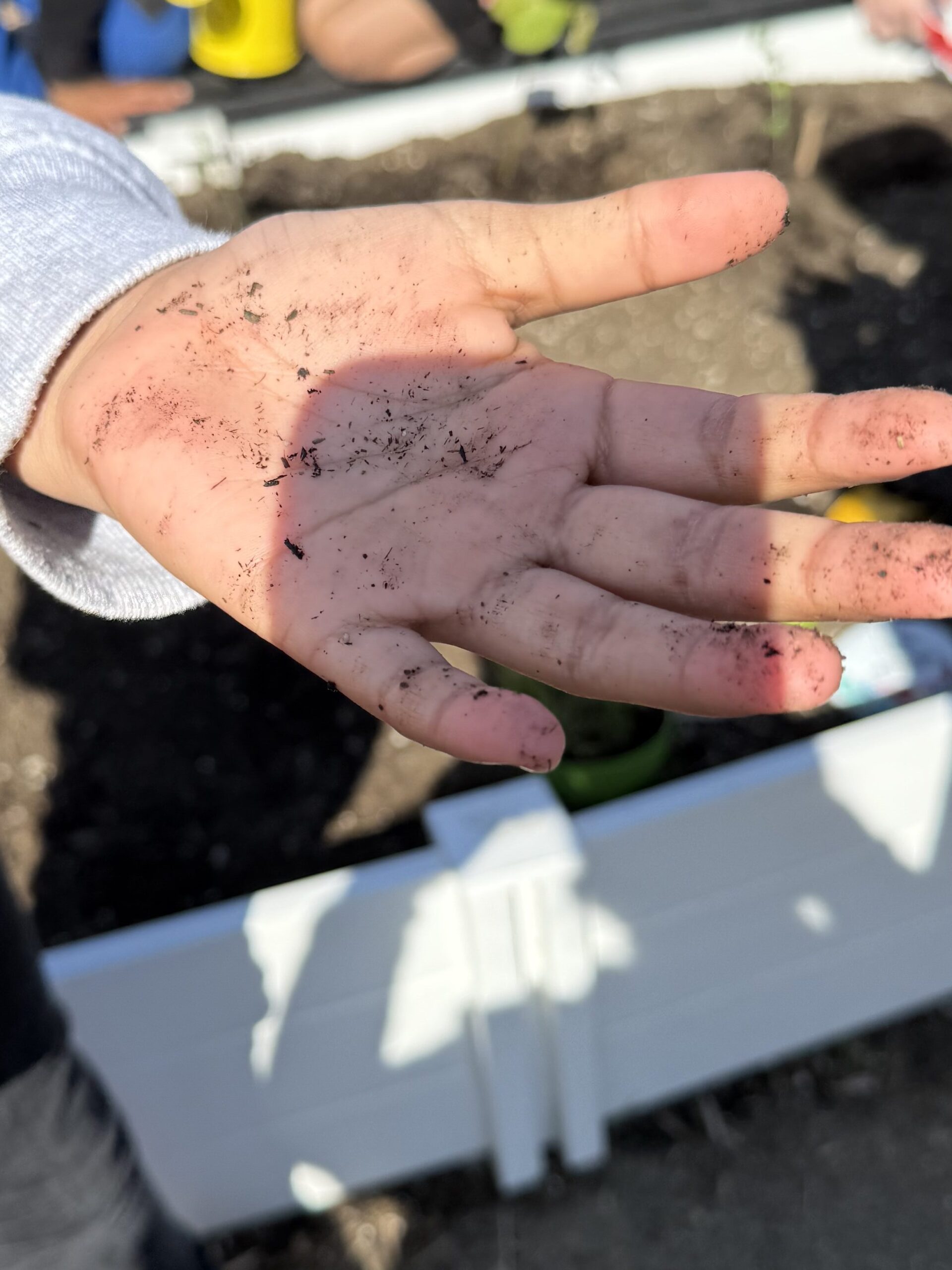 Teaching and Learning and Life
