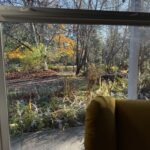 Image of a yard in autumn seen through a window with a chair the same yellow as the leaves on the trees