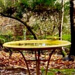 birdbath with leaves and trees in the background. the reflection in the water reveals a hint of blue sky.