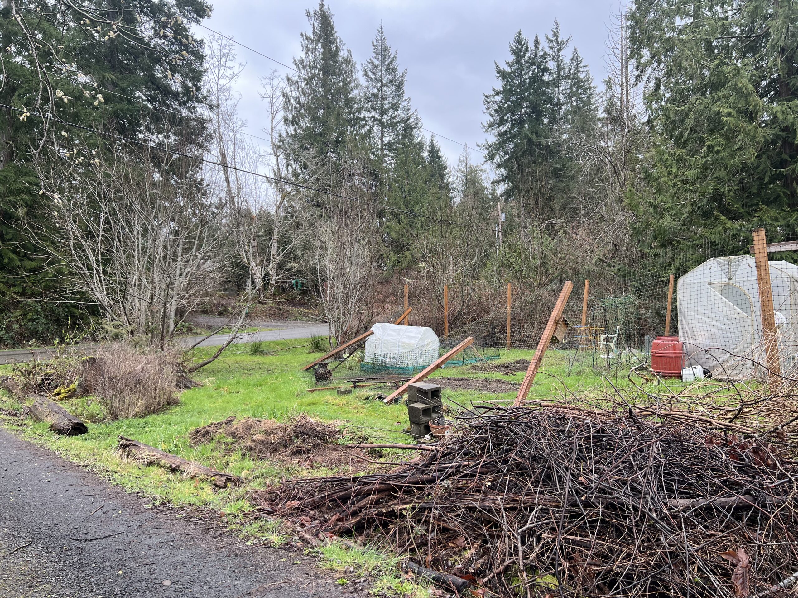 fence posts around garden falling down with tall trees in background