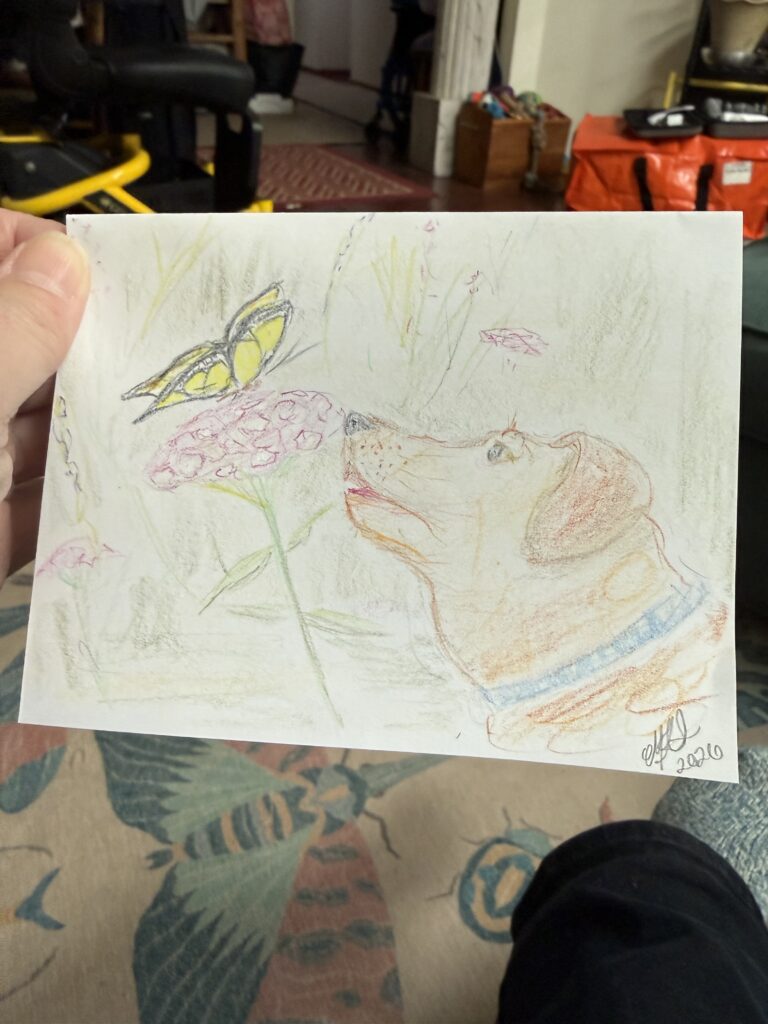 Image of a hand-drawn picture of a dog sniffing at a butterfly on a flower stalk.