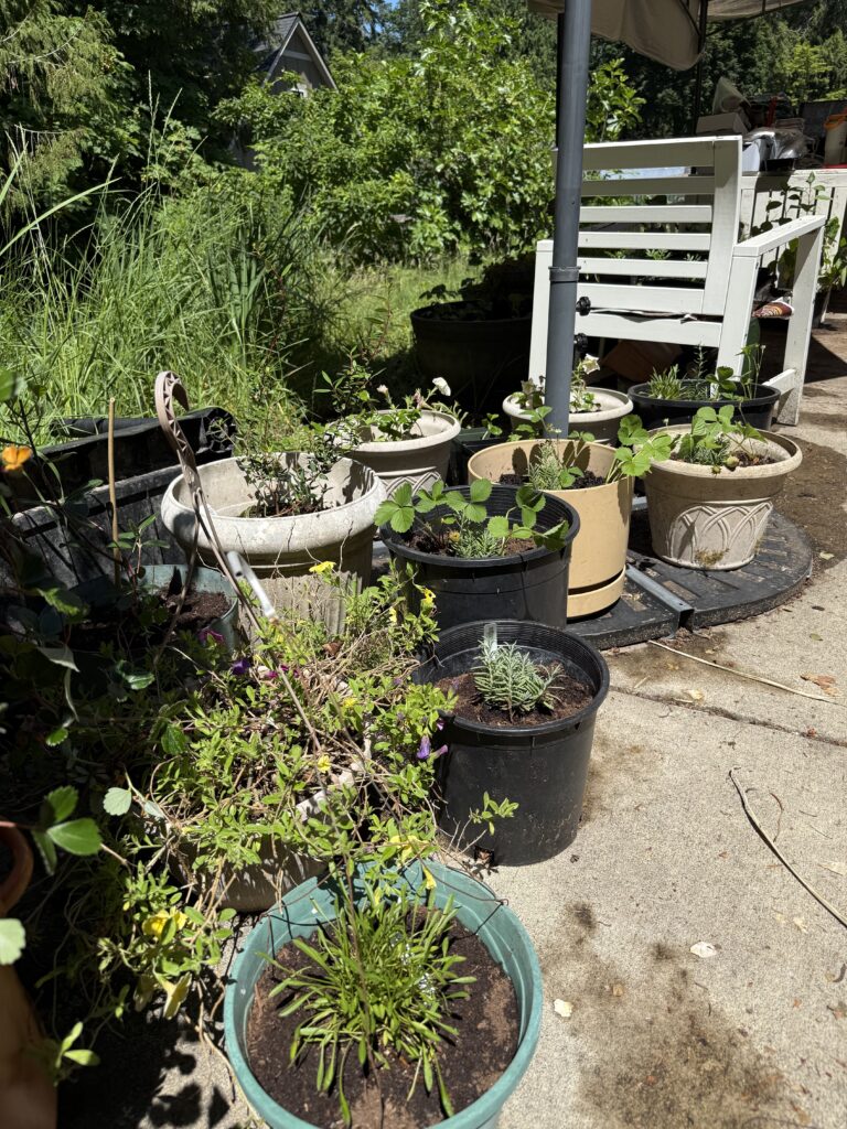 Pots and a chair around the base of a patio umbrella.